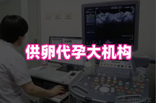 梦美助孕网 1