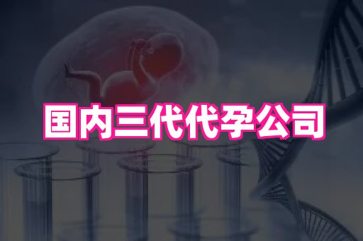 梦美助孕网 3