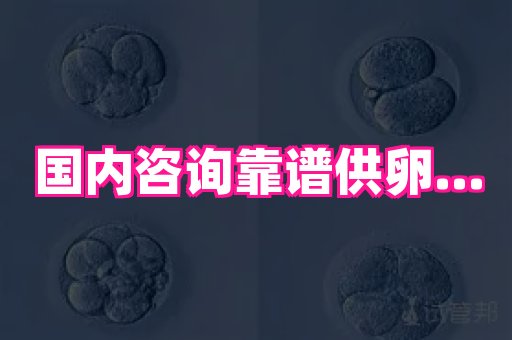 梦美助孕网 4